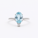 THE AQUA ILZE