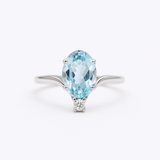 THE AQUA ILZE